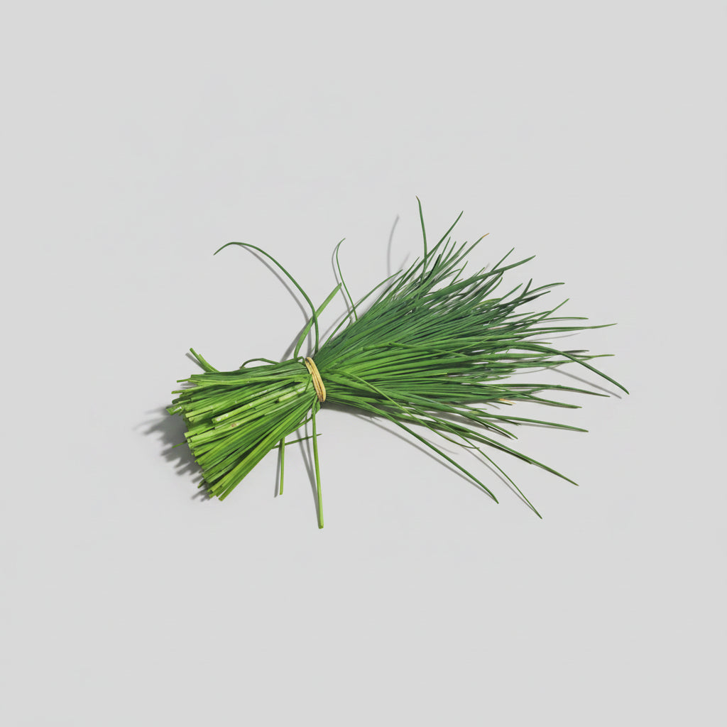 Schnittlauch (Bund 30 g+)