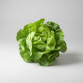 Kopfsalat