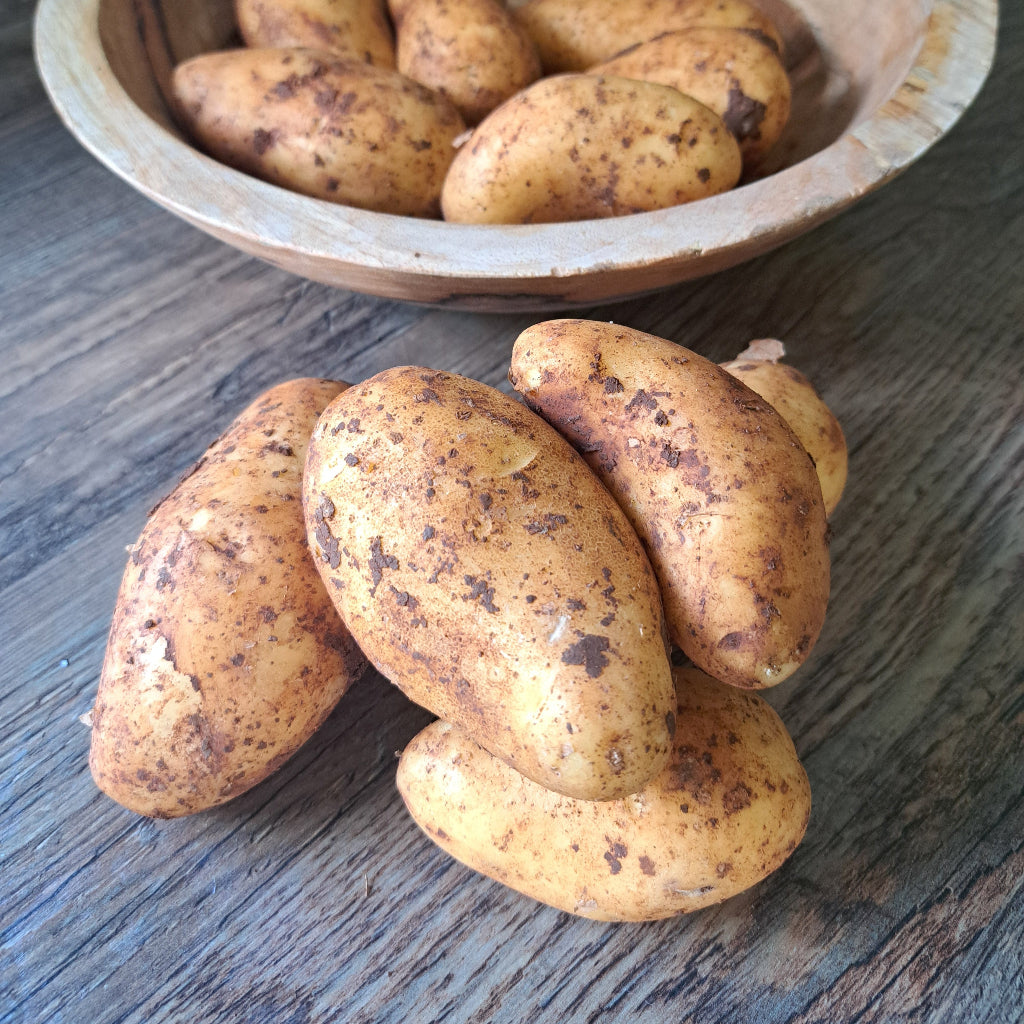 Küchenkombi für Frühkartoffeln mit Grüner Soße (4 Portionen, Hauptgericht)
