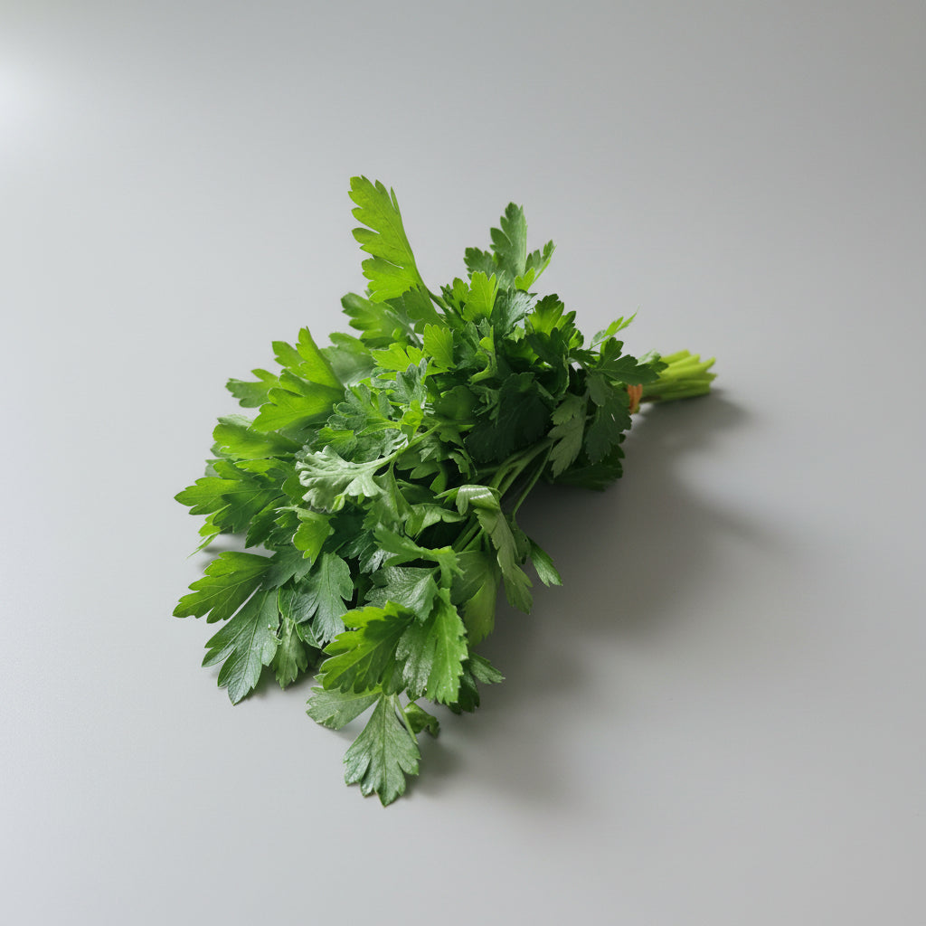 Petersilie glatt (Bund 40 g+)