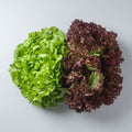 Salat-Duo