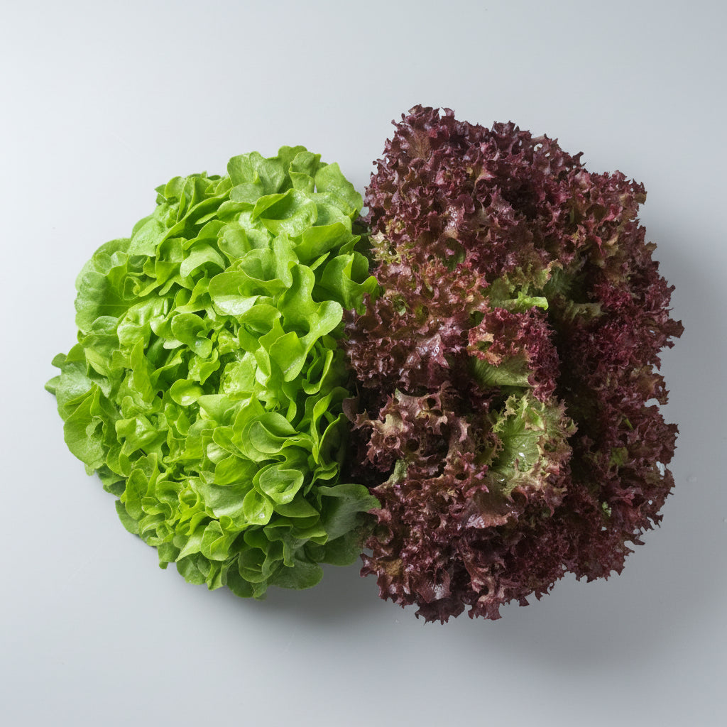 Salat-Duo