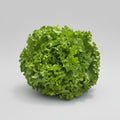 Salat Lollo Bionda