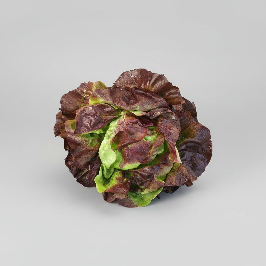 Kopfsalat