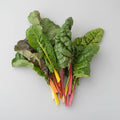 Mangold "Rainbow"