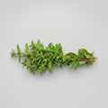 Oregano (Bund 40 g+)