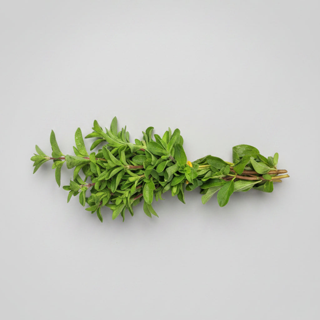 Oregano (Bund 40 g+)