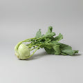 Kohlrabi