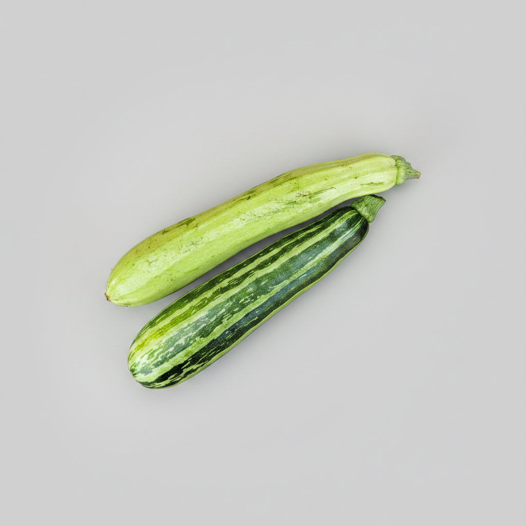 Junge Zucchini "Lungo Bianco di Palermo"/"Zebra"
