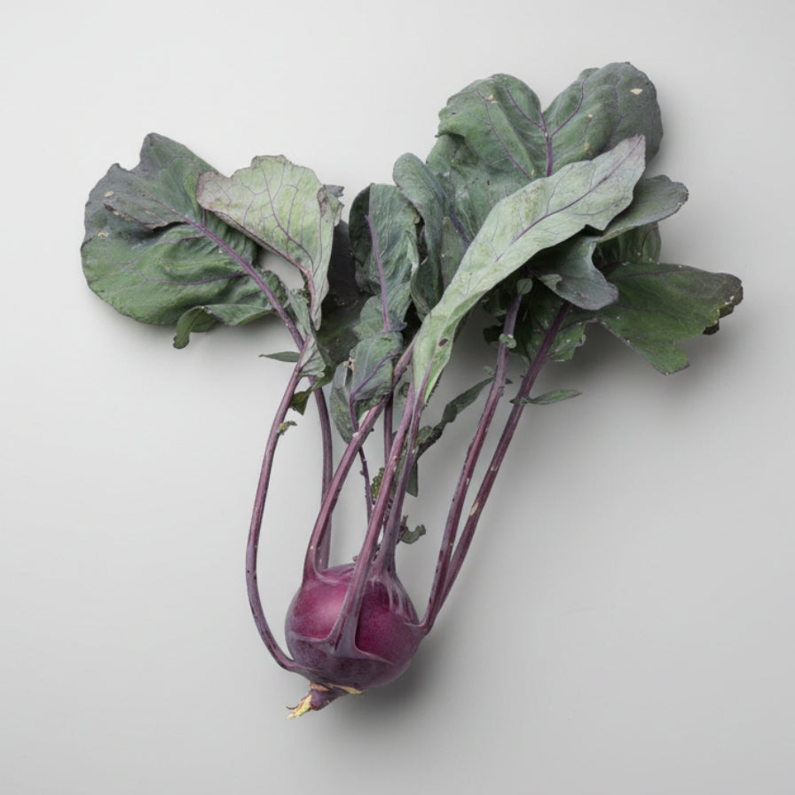 Roter Kohlrabi